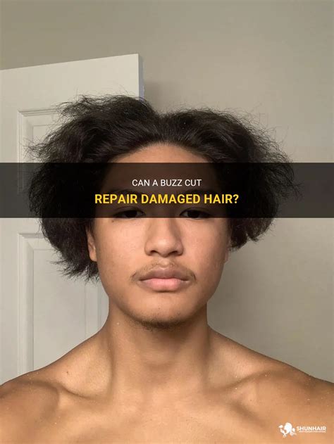 Can Buzz Cut Damage Your Hair  A 2023 Guide