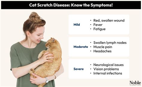 Can Cat Scratch Be Harmful