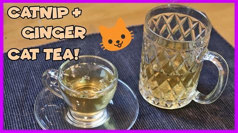 can catnip cause upset stomach