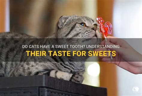 Can Cats Taste Sweet Stuff