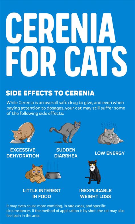 Can Cerenia Kill Cats