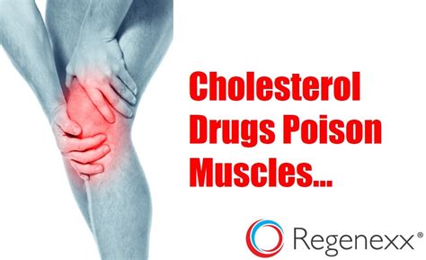 can cholesterol medications cause muscle pain