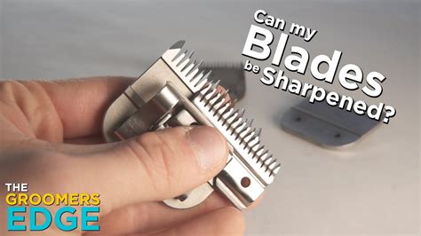 Can Clipper Blades Be Sharpened