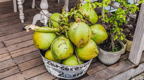 Can Coconuts Be Green