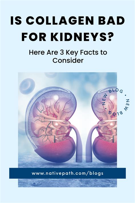 Can Collagen Supplements Cause Kidney Problems