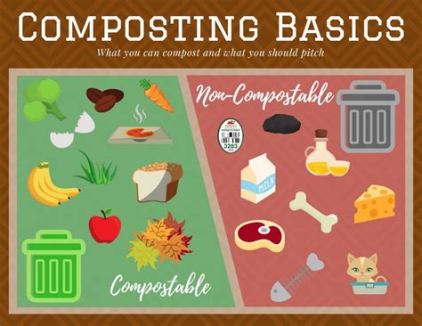 Can Compost Cause Health Problems