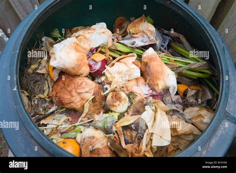 Can Compost Go Mouldy