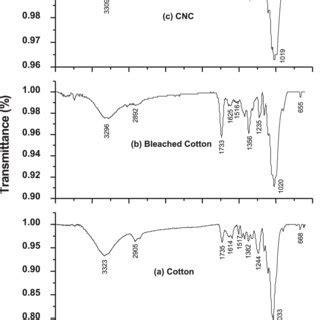 Can Cotton Be Bleached