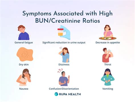 can dehydration cause increased bun