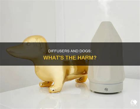 Can Diffusers Affect Dogs
