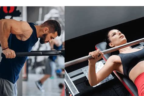 Can Dips Replace Bench Press Reddit