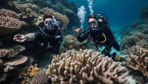 Can Divers Communicate Underwater