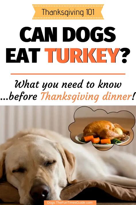 can dogs eat turkey safely