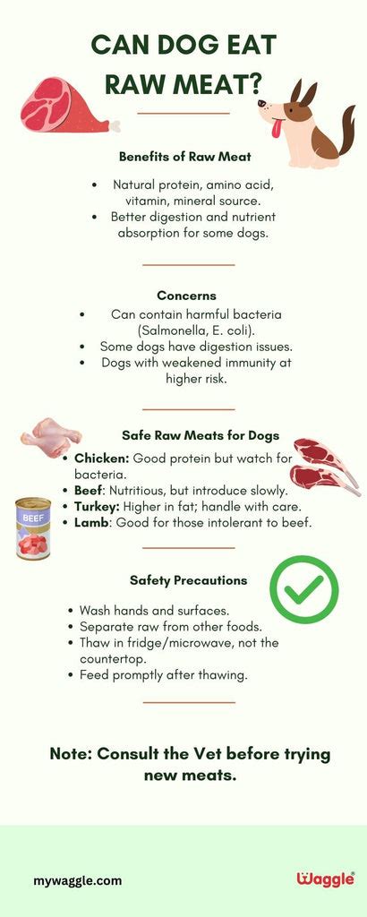 Can Dogs Process Raw Meat