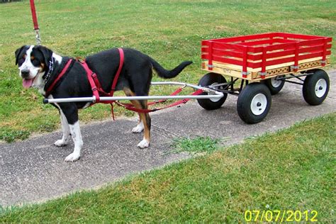 can dogs pull carts