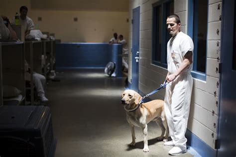 Can Dogs Visit Prisons