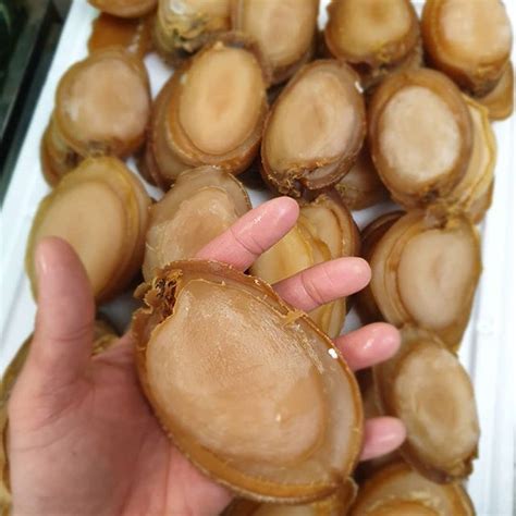 Can Dried Abalone