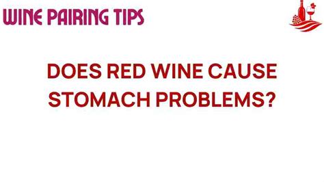 Can Drinking Wine Cause Stomach Problems