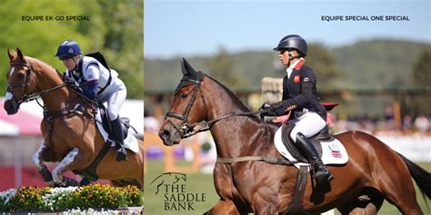 Can Equipe Saddles Be Adjusted