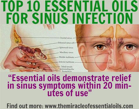 Can Essential Oil Diffusers Cause Sinus Problems