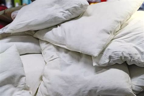 Can Feather Pillows Be Composted