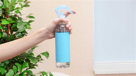 Can Febreze Kill Bed Bugs