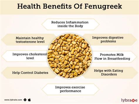 Can Fenugreek Cause Constipation