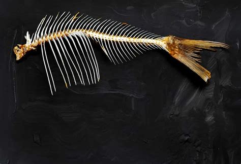 Can Fish Bones Kill A Dog