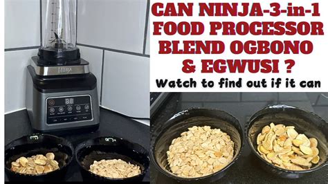 Can Food Processor Blend Beans