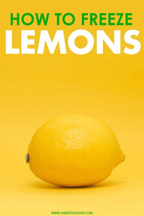 Can Freeze Lemons