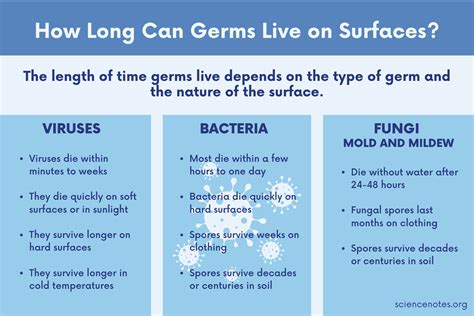 Can Germs Live On Surfaces