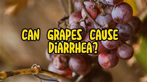 Can Grapes Cause Digestive Problems
