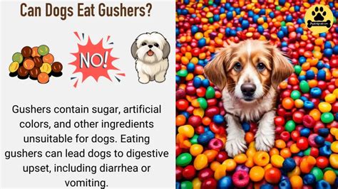 Can Gushers Kill Dogs