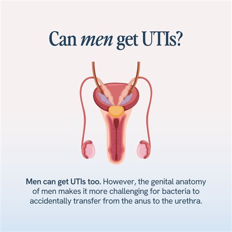 Can Guys Get UTIs? The Surprising Truth About Urinary Tract Infections in Men
