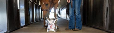 Selenium for Horses Healthy horses, Horse nutrition, Equine nutrition