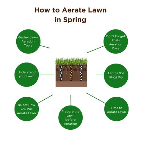 When to Aerate Armstrong Lawn Works