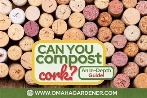 Can I Compost Cork