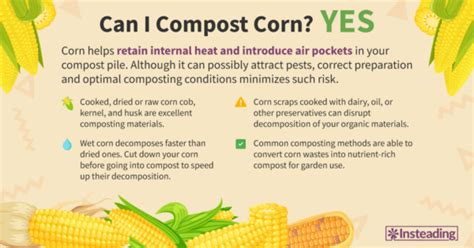 Can I Compost Corn