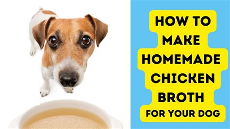 Can I Give Chicken Stock To My Dog