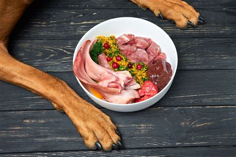 Can I Mix Dog Food With Raw Meat