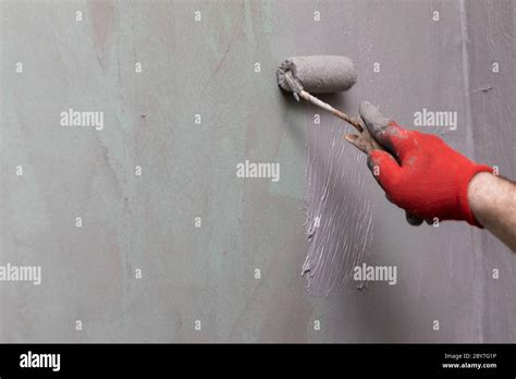 Can I Paint With Damp Roller