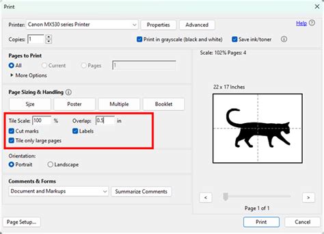 Can I Print A Poster