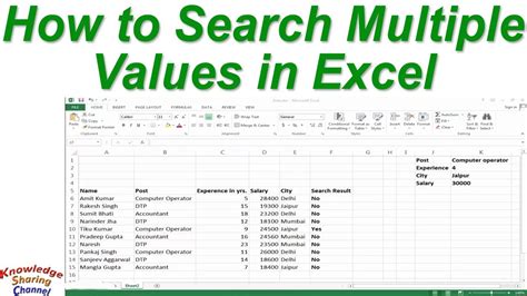 can i search for multiple values in excel