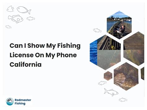  21 Can I Show My Fishing License On My Phone For References