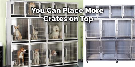 Can I Stack My Dog Crates
