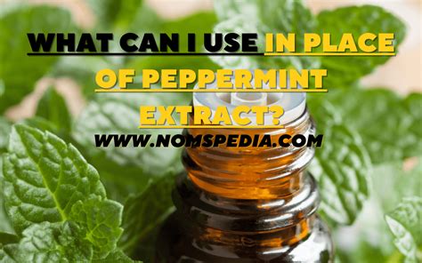 Can I Substitute Mint For Peppermint