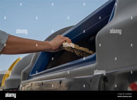 Can I Throw Eggs In The Garbage