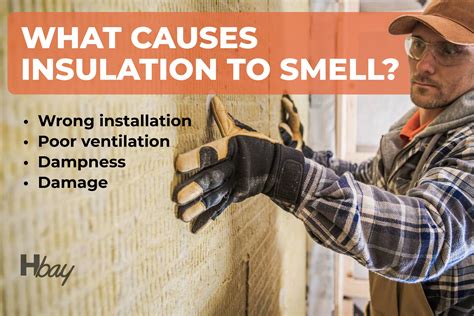 Can Insulation Smell