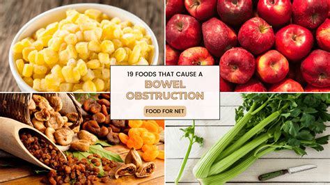 Can Keto Diet Cause Bowel Problems
