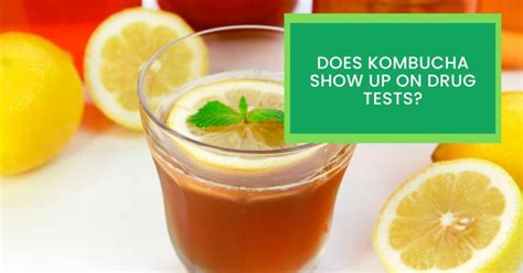 can kombucha show up in alcohol test